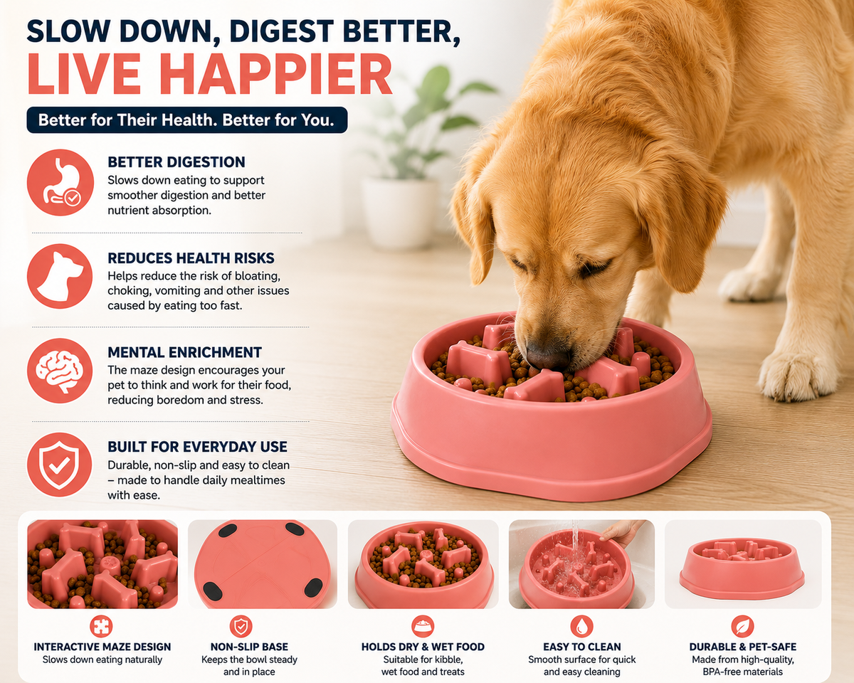 Interactive Slow Feeder Dog & Cat Bowl – Anti-Gulp Maze Food Feeding Bowl for Pets