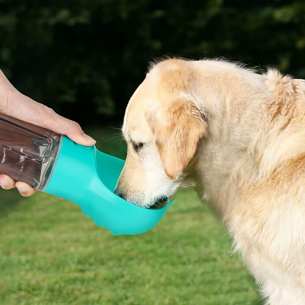4-in-1 Portable Dog Water Bottle with Food Storage & Poop Bag Holder – Green Travel Pet Feeder