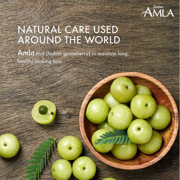 Dabur Amla Gold Hair Oil Set of 2 | Nourishing Hair Oil for Strong, Long & Shiny Hair | Damage Repair & Moisture Care