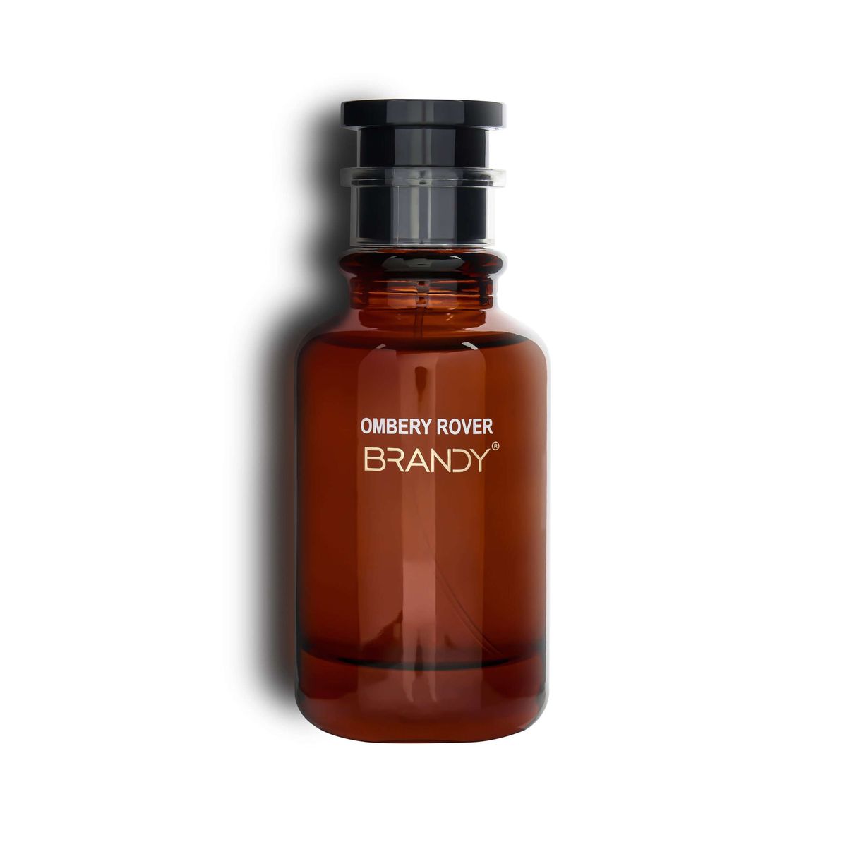 Prestige Ombery Rover Eau De Parfum for Men 100ml | Long Lasting Woody Aromatic Fragrance