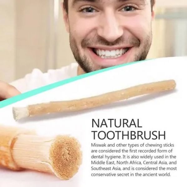 Al Khair Miswak Natural Toothbrush 8 Inch | Premium Arak Miswak Stick | Herbal Dental Care Stick