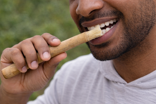 Al Khair Miswak Natural Toothbrush 8 Inch | Premium Arak Miswak Stick | Herbal Dental Care Stick
