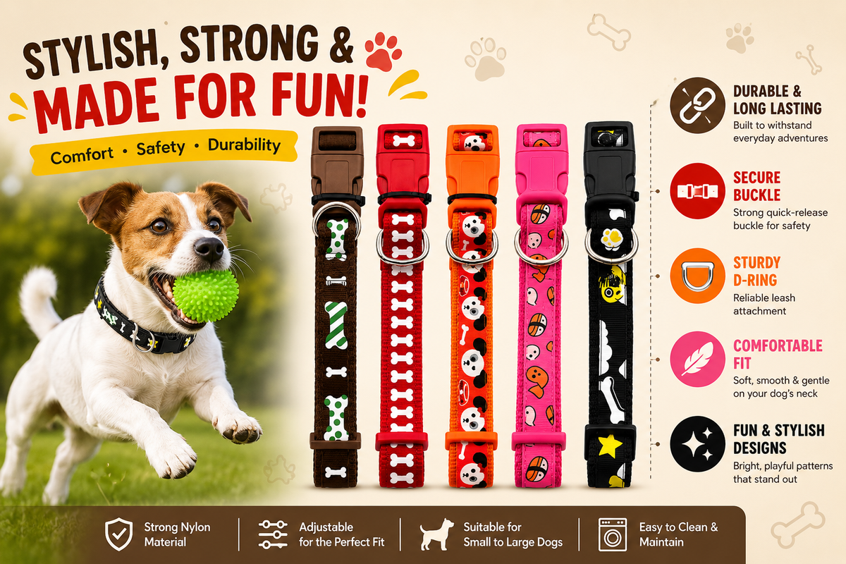 Adjustable Dog Collar 2.5cm Wide with Quick-Release Buckle & Metal D-Ring – Comfortable Puppy & Dog Collar