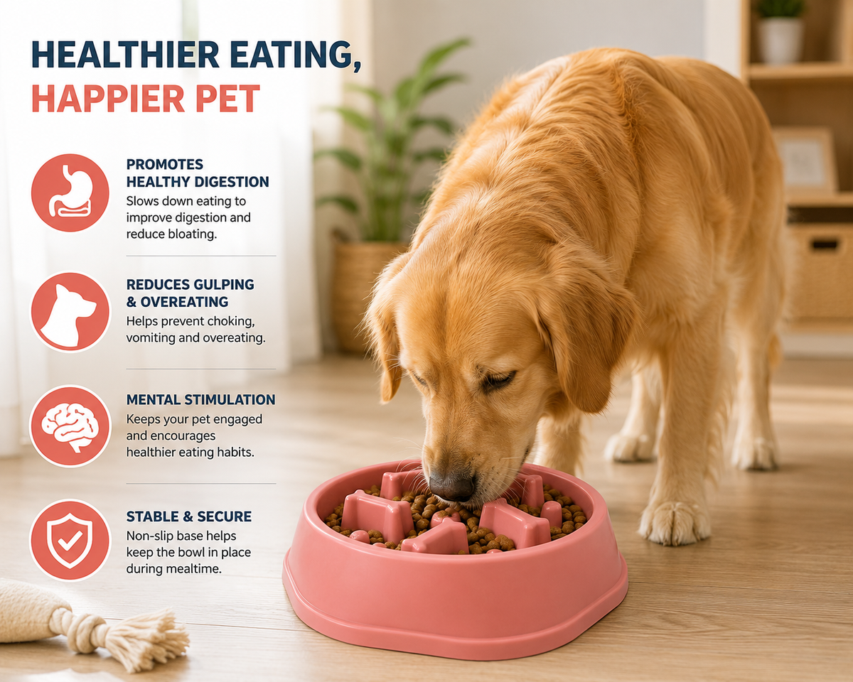 Interactive Slow Feeder Dog & Cat Bowl – Anti-Gulp Maze Food Feeding Bowl for Pets