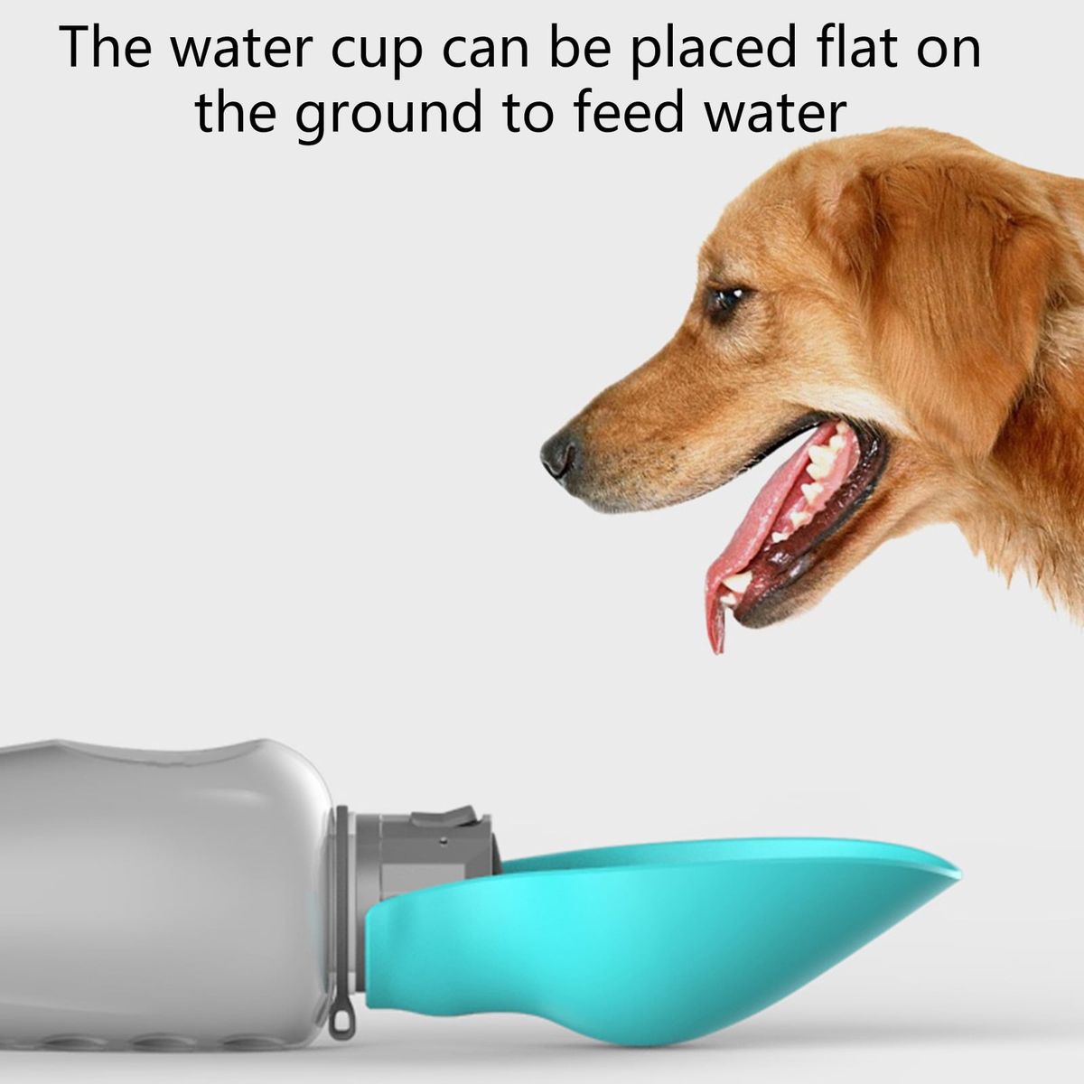 Portable Dog Water Bottle 800ml – Foldable Travel Water Bottle with Drinking Cup & Strap for Dogs